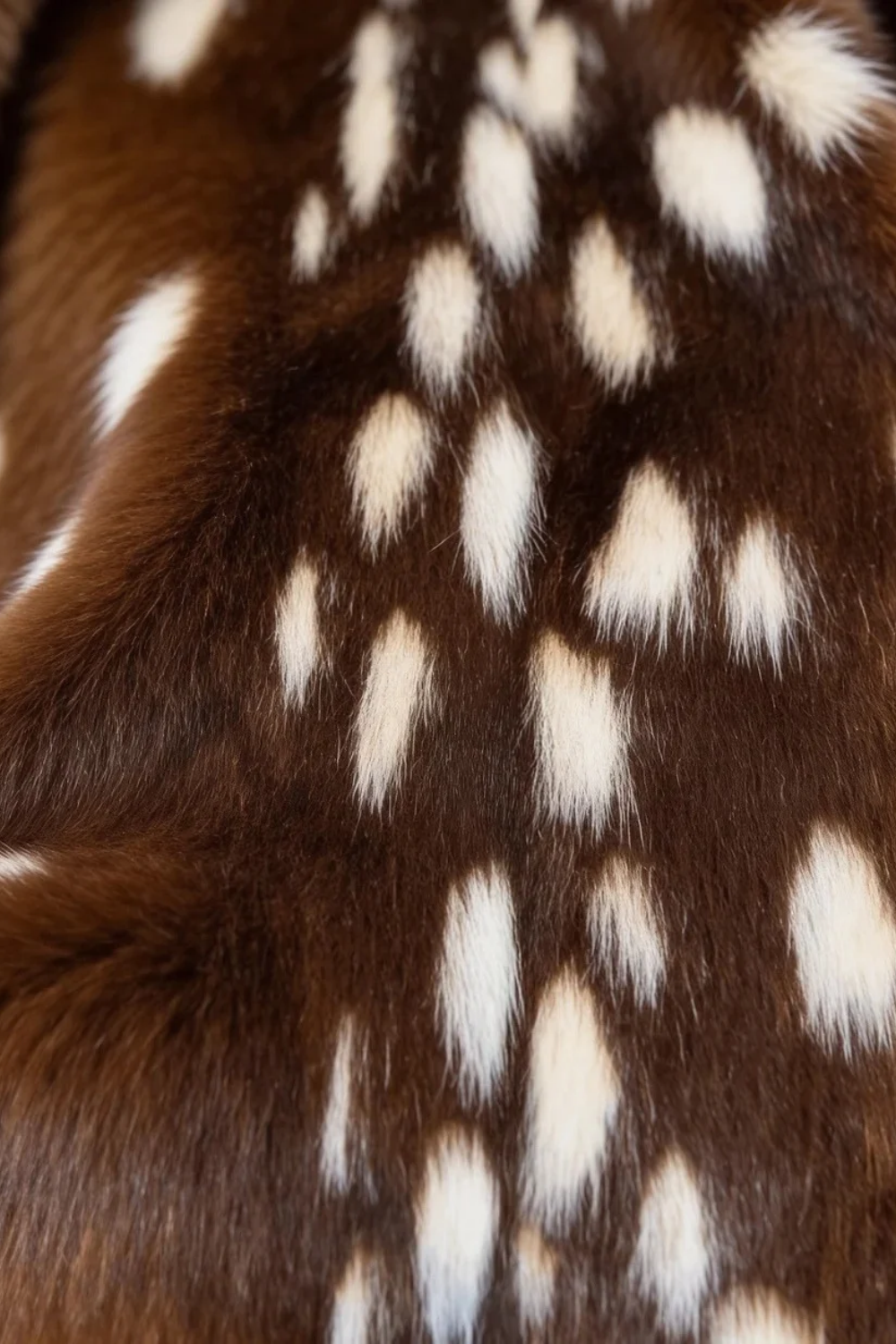COSA - Fourrure Bambi